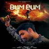 About Bum Bum Song